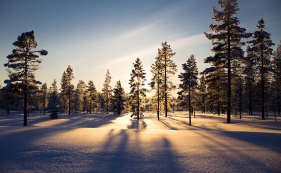 冬の夕暮れ　フィンランドの風景
