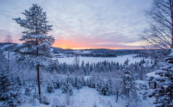 冬のラップランド　フィンランドの冬の風景