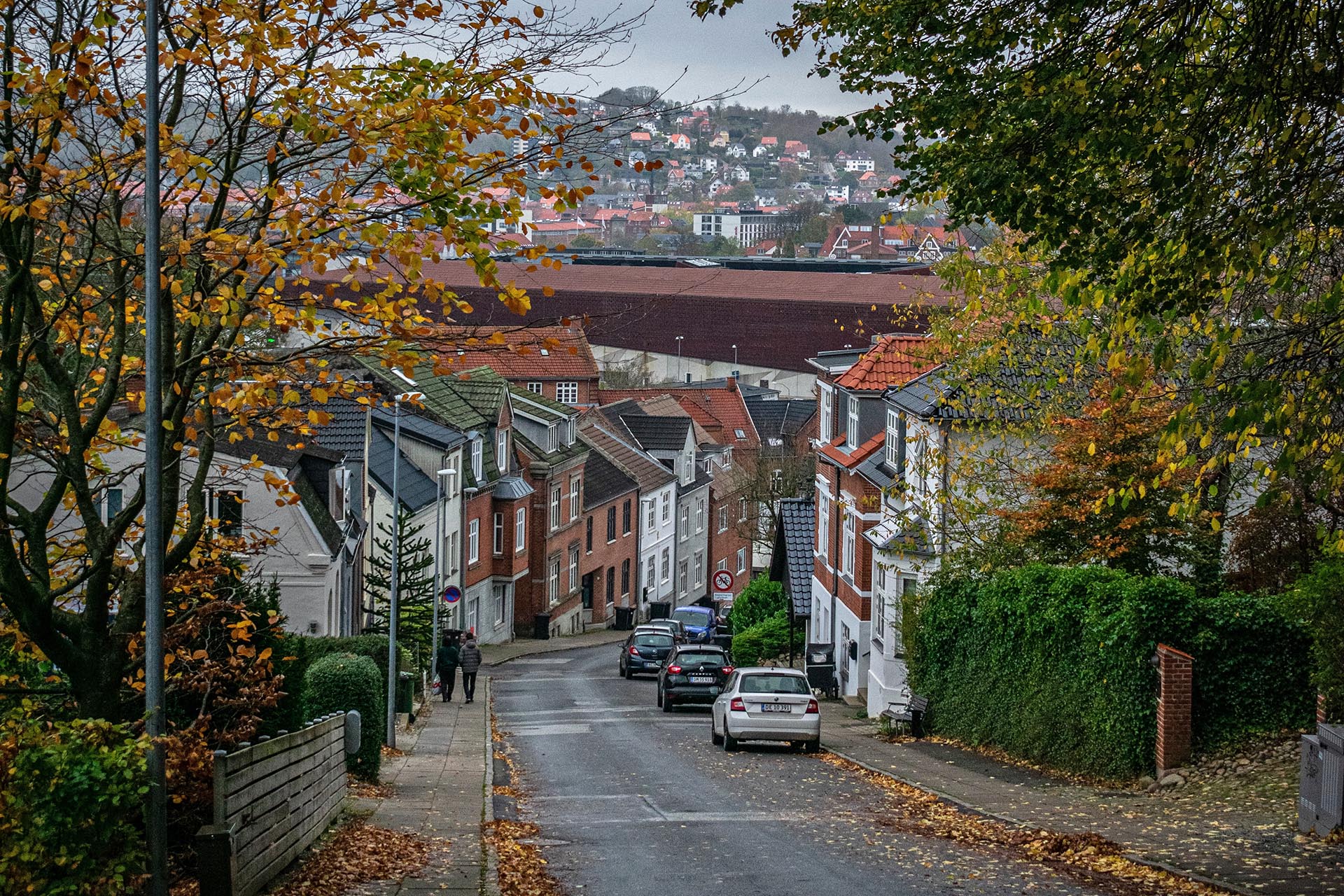 ヴァイレの風景　デンマークの秋の風景