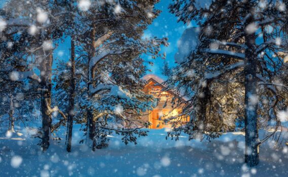 冬の夜の森　フィンランドの冬の風景
