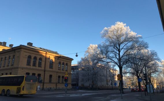 冬のウプサラの風景　スウェーデンの風景