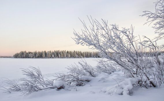 冬の湖　ルカ　フィンランドの冬の風景
