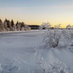 冬の夕暮れ時の湖　フィンランドの冬の風景
