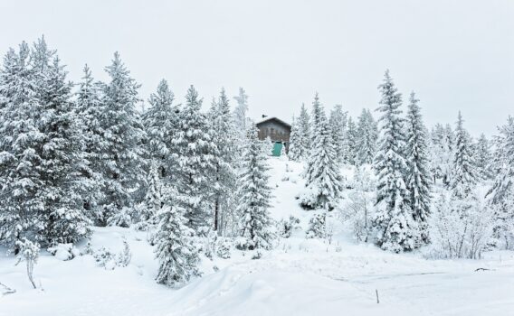 冬のクーサモ 　ルカの風景　フィンランドの冬の風景