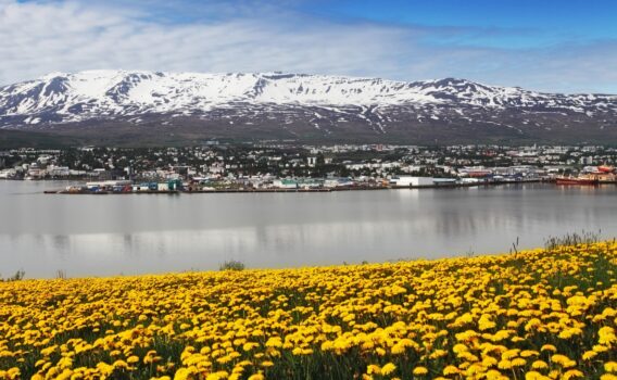 アークレイリの風景　アイスランドの風景