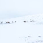 オーレの冬の絶景　スウェーデンの冬の風景