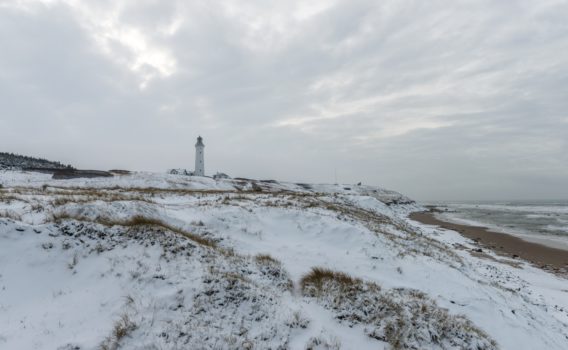 冬の海岸の風景　デンマークの冬の風景