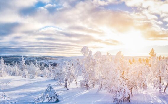 スカンジナビアの冬の日の入りの風景　