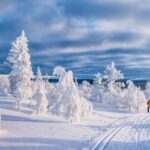 スカンジナビアの冬の風景　クロスカントリースキーの風景