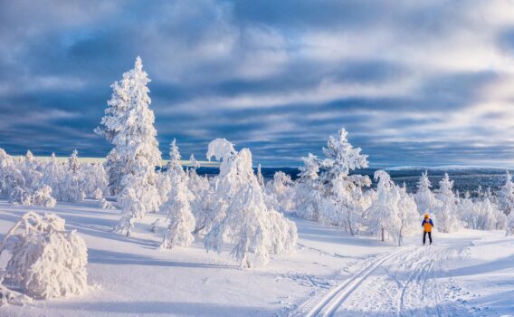 スカンジナビアの冬の風景