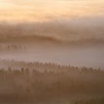 霧の立ち込める朝の風景　フィンランドの風景
