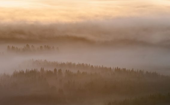 霧の立ち込める朝の風景　フィンランドの風景