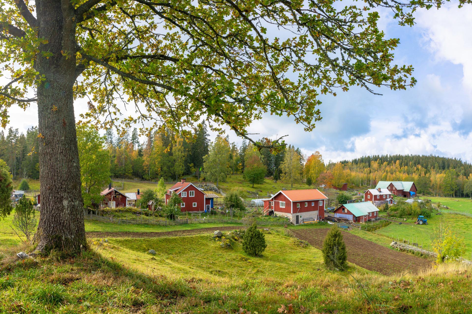 初秋の風景　スウェーデンの風景