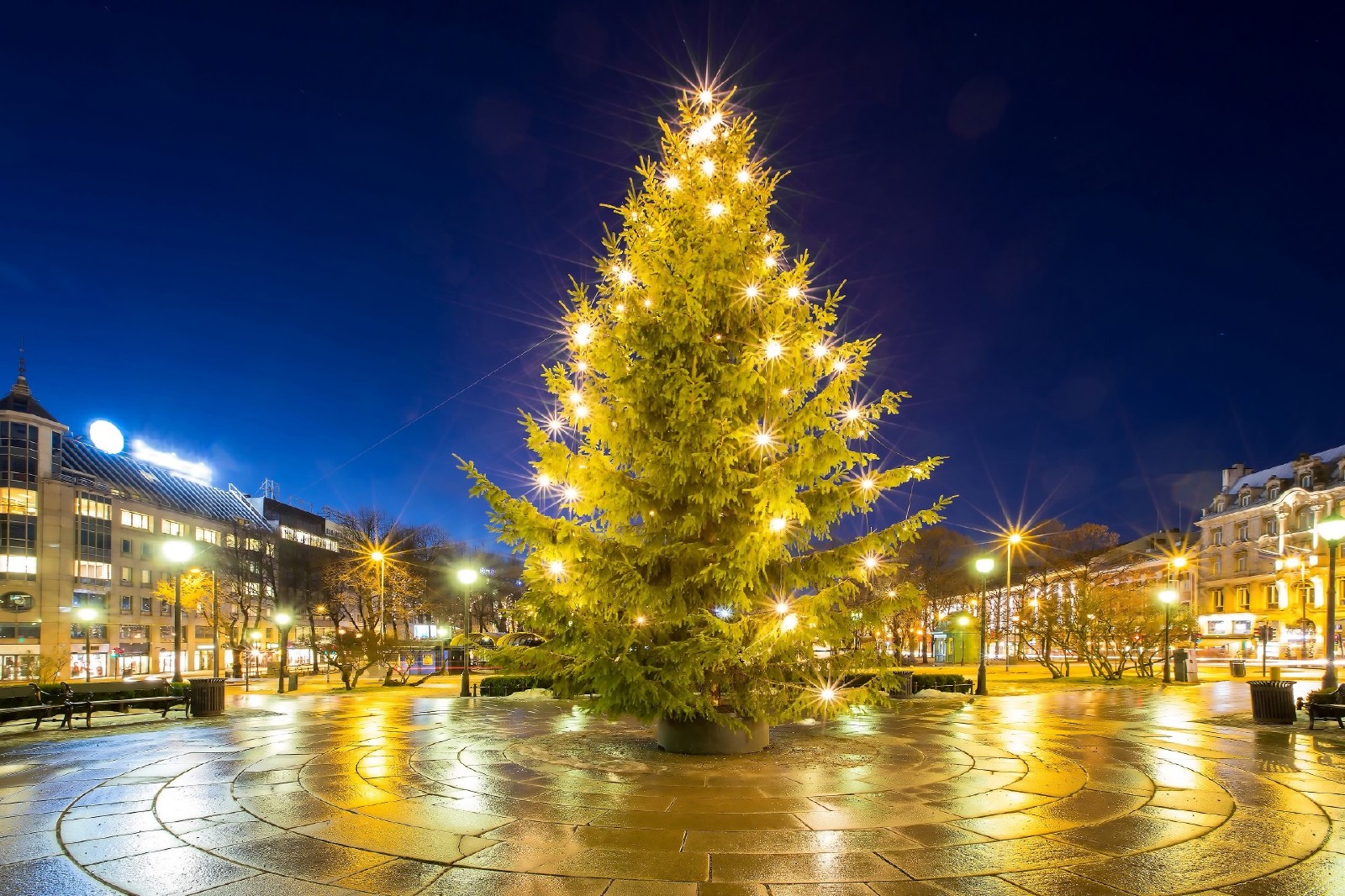 ノルウェーのクリスマスの風景 北欧ガイド