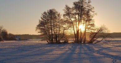 冬のスウェーデンの風景