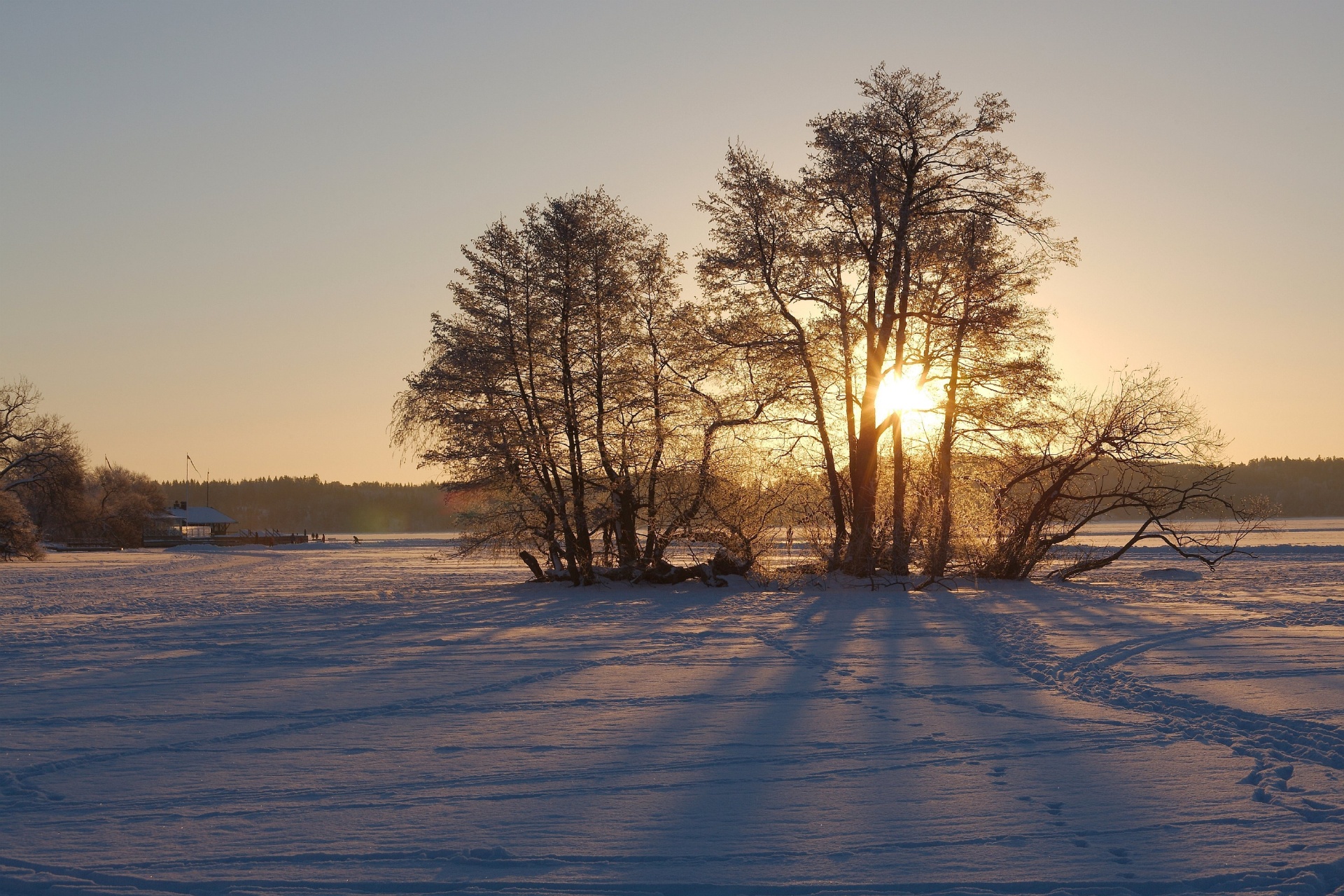 冬のスウェーデンの風景 | 北欧ガイド