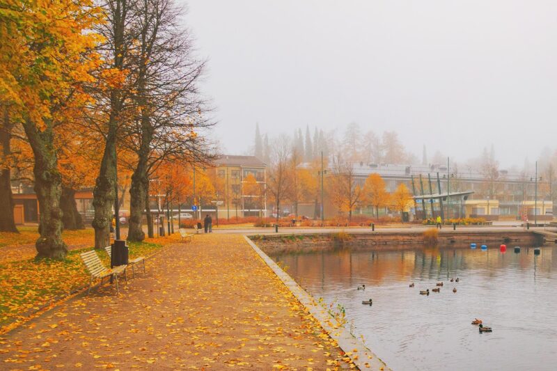 秋のフィンランドの風景